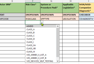 Drop-down-Auswahl im Register einer Europe-IT-Vorlage